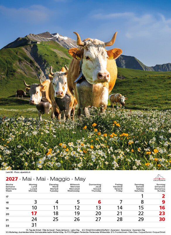 Calendaria Swiss Souvenir – Bildkalender Schweiz 2027 – 23 × 31,5 cm