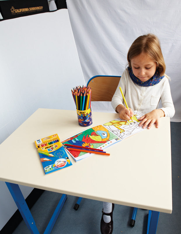 BIC Buntstifte – 24 Farben, im Kartonetui, Ø 3,2 mm, Kunstharz, NF Environment