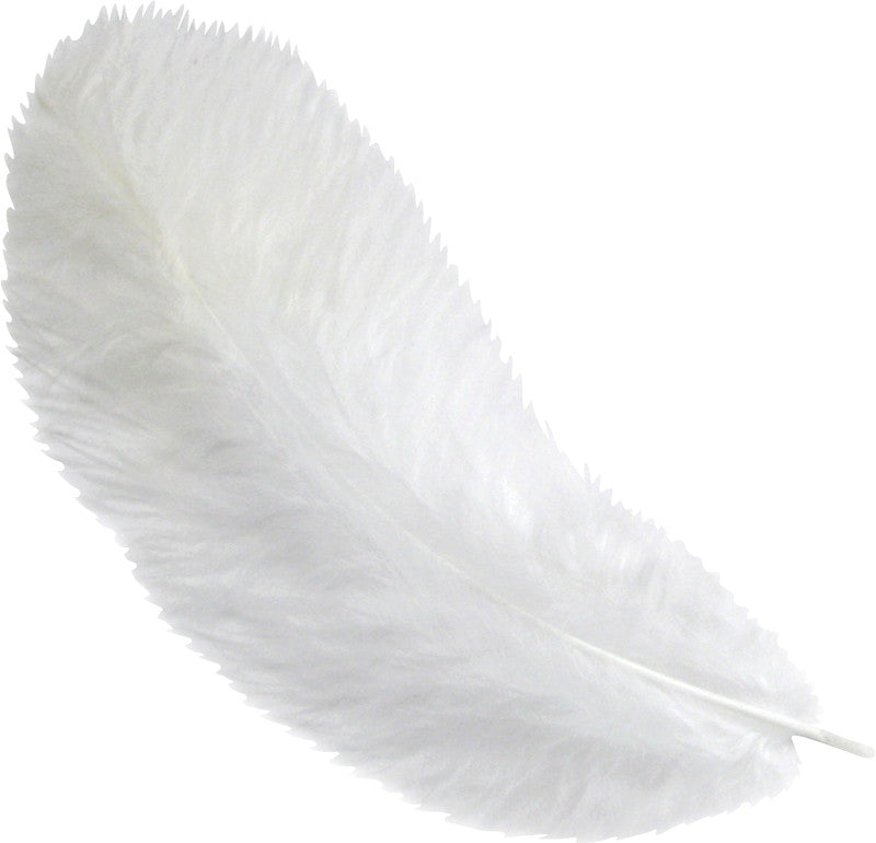 Stafil Federn – weiss – 12 cm, 15 Stück