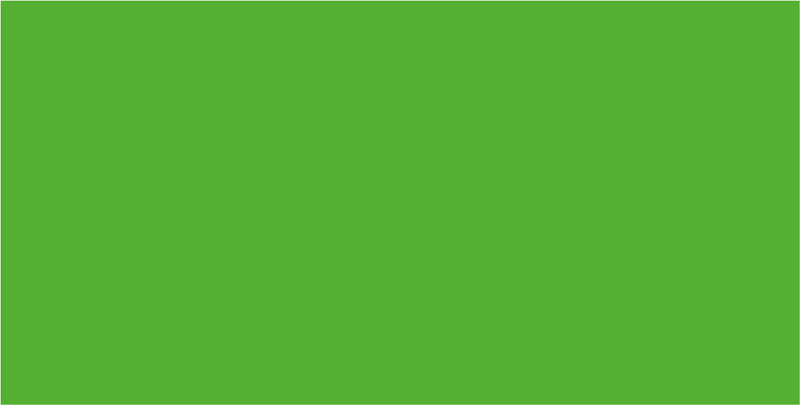 Folia Fotokarton – 700 × 1000 mm – 300 g/m² – grasgrün – 1 Blatt