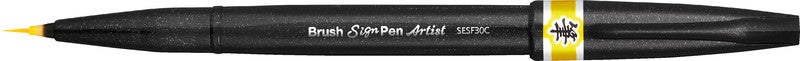 Pentel Filzstifte, Strichbreite 0,03–2 mm, 1 Farbe