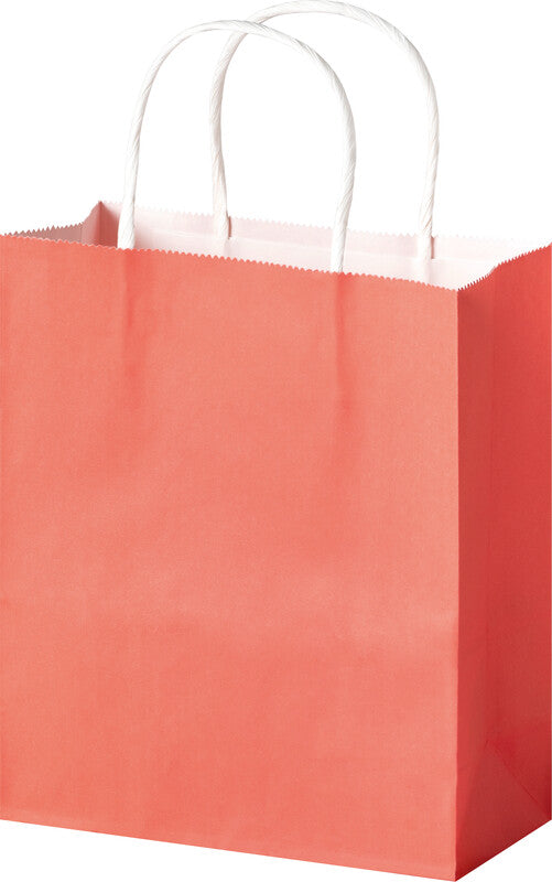 Folia Tragetasche – Papier – 180 × 210 × 80 mm – 20 Stk.