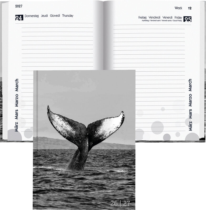 Biella mydiary Schüleragenda – 1 Tag/Seite, gebunden, 12 × 16,5 cm, Aug–Jul, Whale, FSC