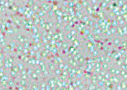Marabu Fun & Fancy – Fenstermalfarbe – Eis Glitter, 80 ml, für Glas & Porzellan