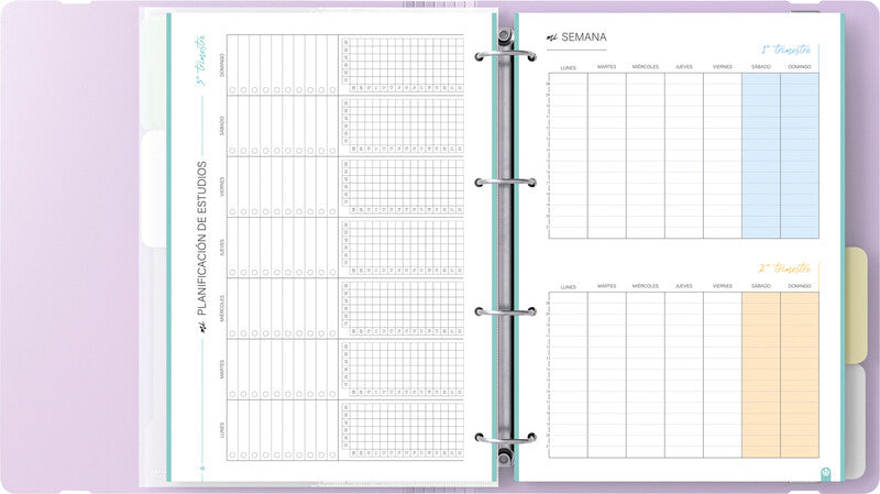 Carchivo Ringbuch – A4 Hochformat – 4-Ring-Mechanik, Ø 35 mm, Rücken 40 mm – Mauve, mit Raumsparösen