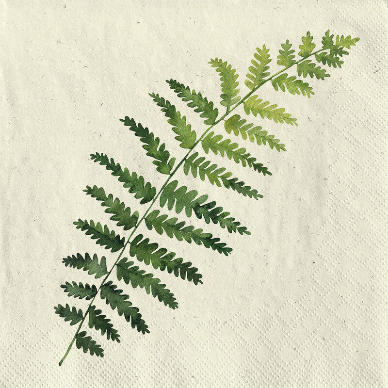 Fasana Servietten Single Fern – 33 × 33 cm – 2-lagig, Tissue – 20 Stk., FSC
