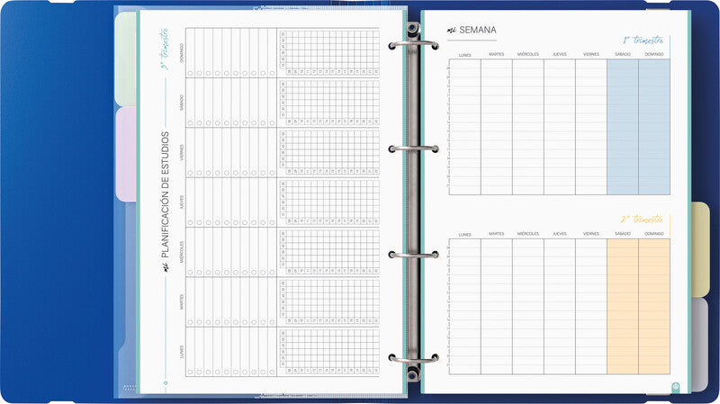 Carchivo Ringbuch Carpeblock 360 – A4 hoch – 4 Ringe, Ø 35 mm – Blau, mit Raumsparösen