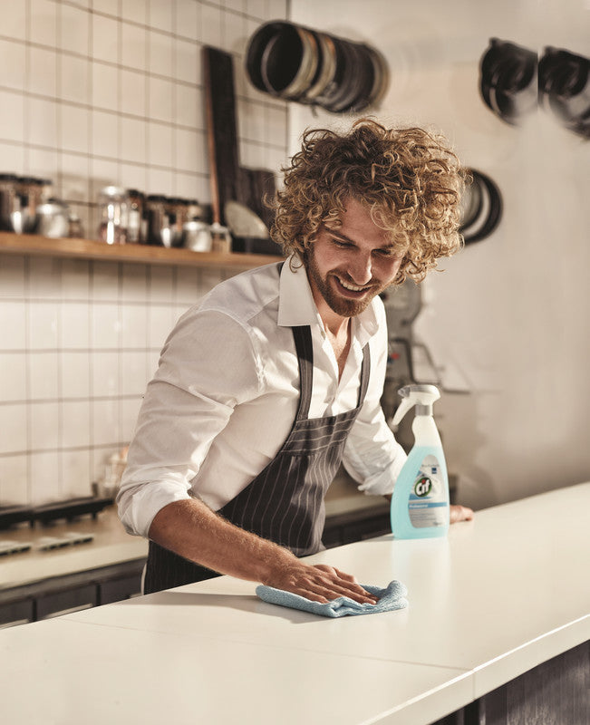 Cif Pro Formula – Fenster- und Oberflächenreiniger Professional – 750 ml