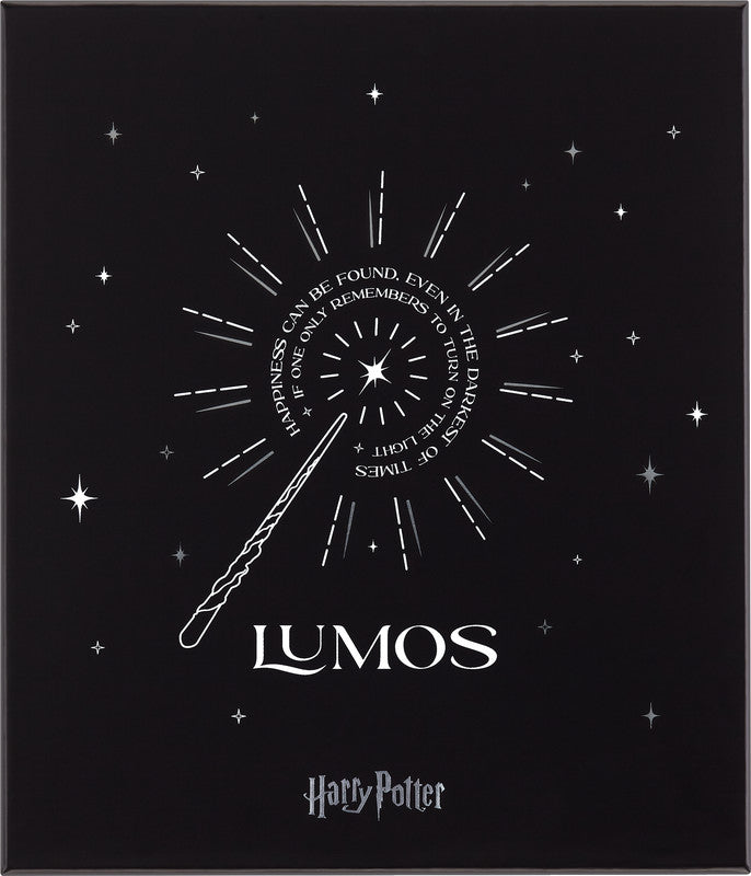 Moleskine Notizbuch Limited Edition Harry Potter, Leimbindung, Hardcover, 176 Seiten, 100 g/m² – Schwarz
