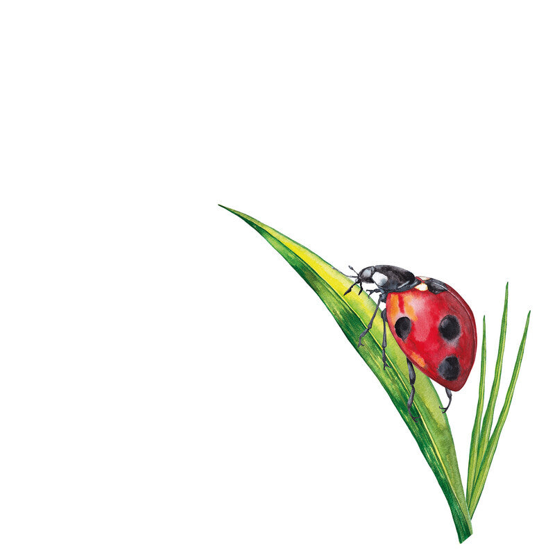 Fasana Servietten Ladybug On Grass – 33 × 33 cm – 3-lagig, Tissue – 20 Stk., FSC