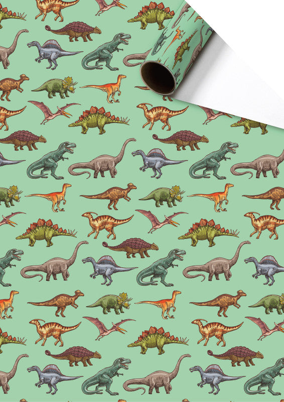 Stewo Geschenkpapier – Saurus – 80 g/m2 – 700 × 2000 mm – mehrfarbig