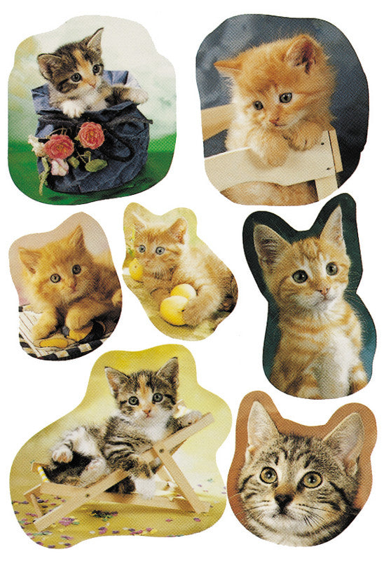HERMA Schmucketiketten – Motiv Fotogene Kätzchen – Papier, Hochglänzend, 21 Stk, 3 Bogen