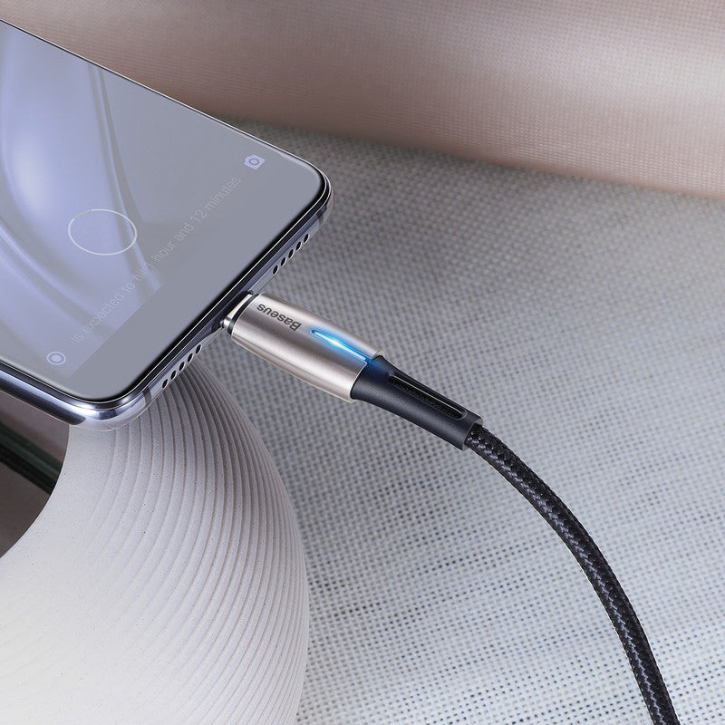 Baseus USB-Kabel, USB-C zu USB-C, 2 m