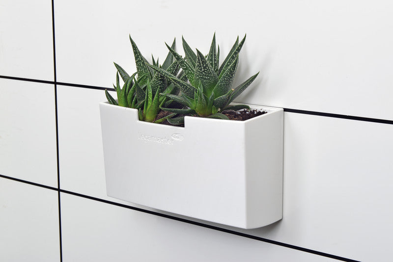 Legamaster Starter-Kit – für Whiteboards