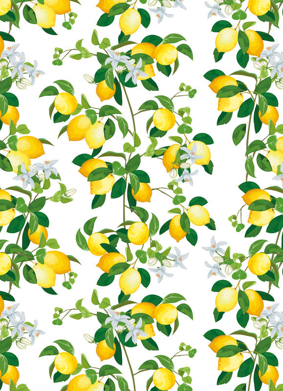 Zoewie Geschenkpapier – Green Spirit – FSC-zertifiziert – 700 × 2000 mm