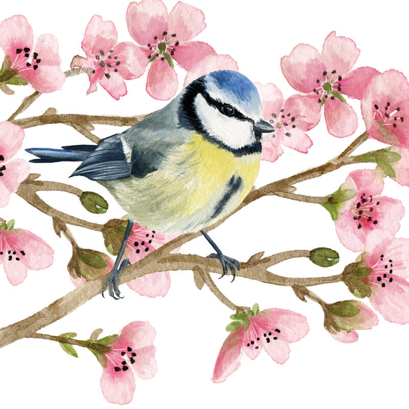 Ppd Servietten Oiseau Frühlingsdruck – 33 × 33 cm – 3-lagig, Tissue – 20 Stk.
