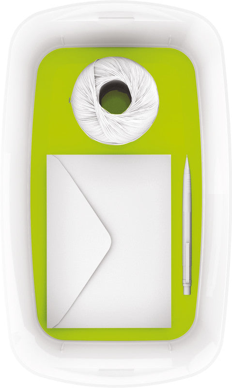 Leitz Aufbewahrungsbox – ABS-Kunststoff, Weiss/Grün, 31,8 × 12,8 × 19,1 cm
