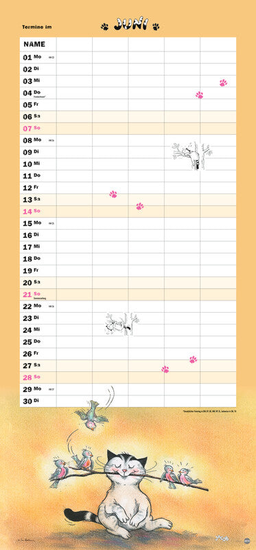 Heye Familienplaner Katzenliebhaber – für Familien – 5 Spalten – Deutsch – 2026 – 21 × 45 cm