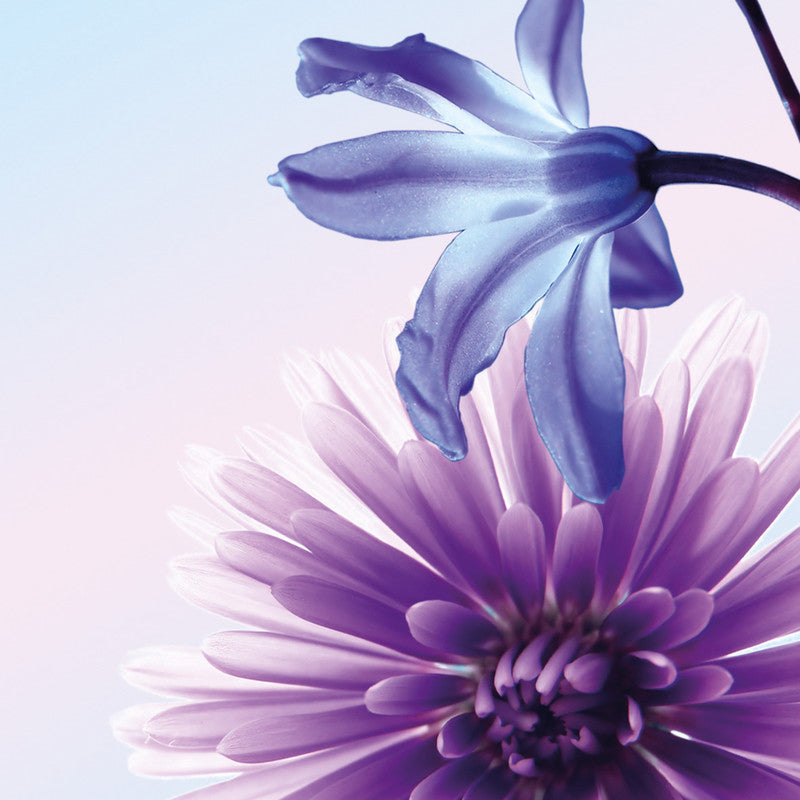 Sigel Designpapier Blue Emotion – A4, 90 g/m², 50 Blatt