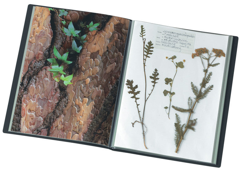 Kolma Sichtbuch Selection – 20 Sichttaschen, A4, glatt, glänzend, schwarz, Kunststoff