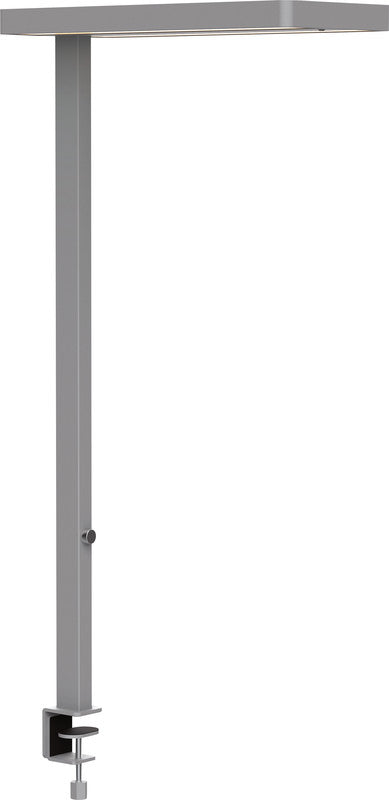 MAUL LED Tischleuchte – Klemmfuss, Bewegungssensor, dimmbar – 4000 K – 7'200 lm 80 W – Silber Aluminium