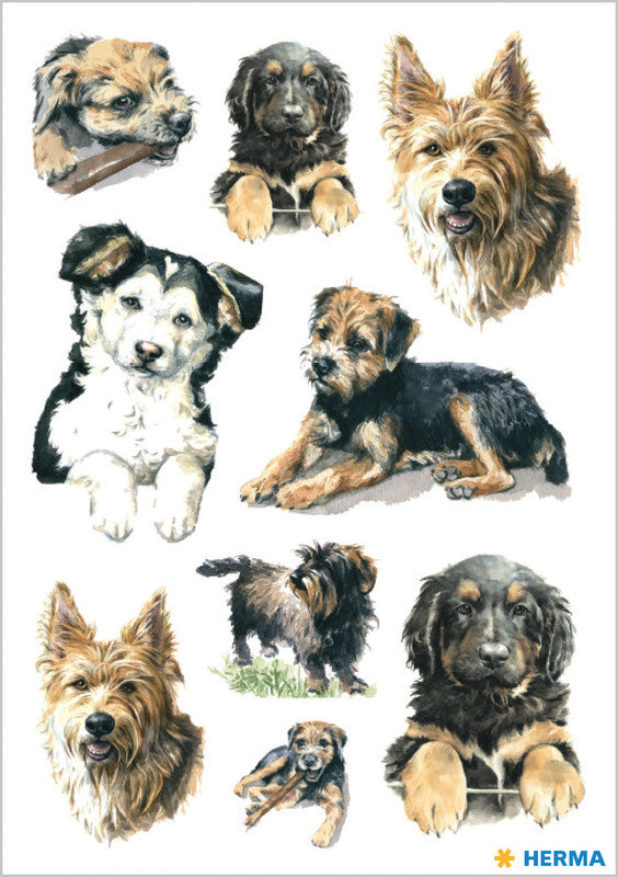 HERMA Schmucketiketten – Motiv Hunde – Papier, hochglänzend, 27 Stück, 3 Bögen