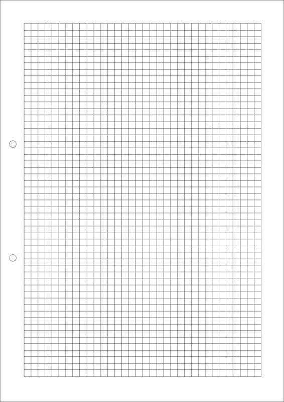 Natura line Notizbuch-Einlagen A4, kariert 5 mm, mit Rand, 2-fach gelocht, 90 g/m² – 500 Blatt