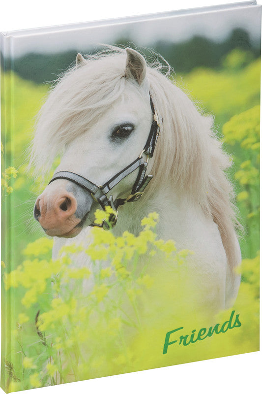 Pagna Kleines Pony Freundebuch – 150 × 220 mm – 60 Seiten – Deutsch, gebunden, laminierter Papiereinband