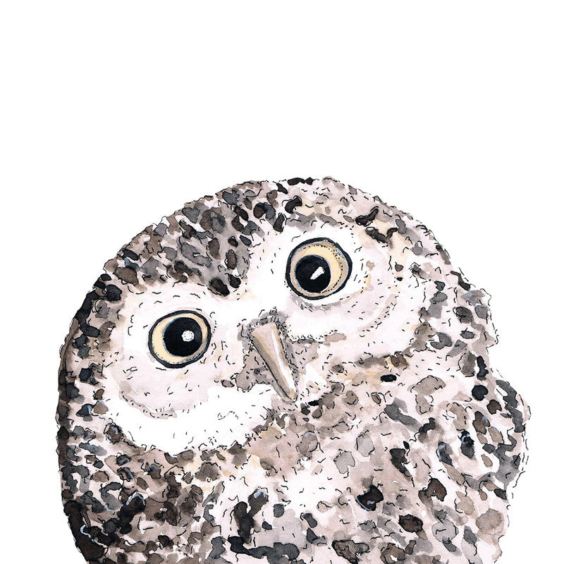Ppd Servietten Owl – 33 × 33 cm – 2-lagig, Tissue – 20 Stk., FSC