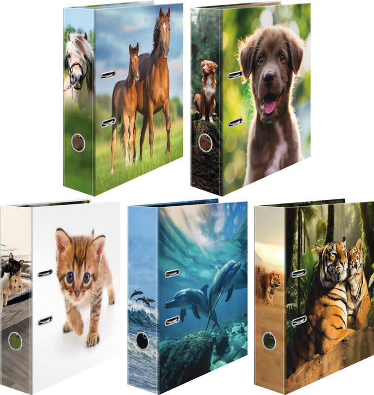 HERMA Ordner – A4 hoch – 2-Ring Hebelmechanik, Rücken 70 mm – mehrfarbig, mit Niederhalter