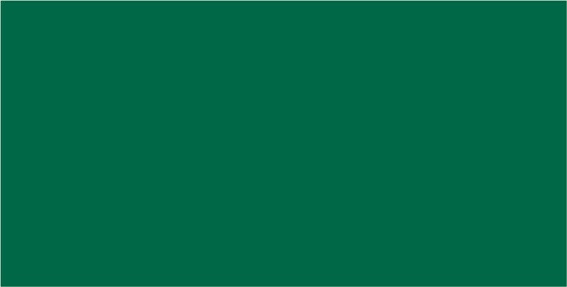 Folia Fotokarton – 500 × 700 mm – 300 g/m² – Tannengrün – 1 Blatt