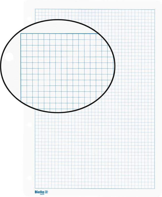 Biella Notizbuch-Einlagen A4, kariert 5 mm, mit Rand, 4-fach gelocht, 90 g/m² – 100 Blatt