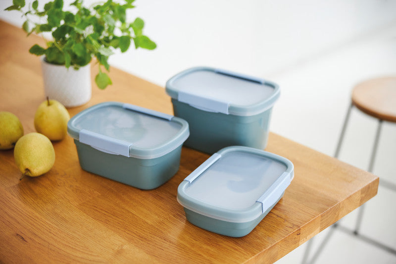 Rotho Kühlschrankdose Clic Eco – 0,8 l – rechteckig – 15 × 6,1 × 22 cm – Kunststoff – blau