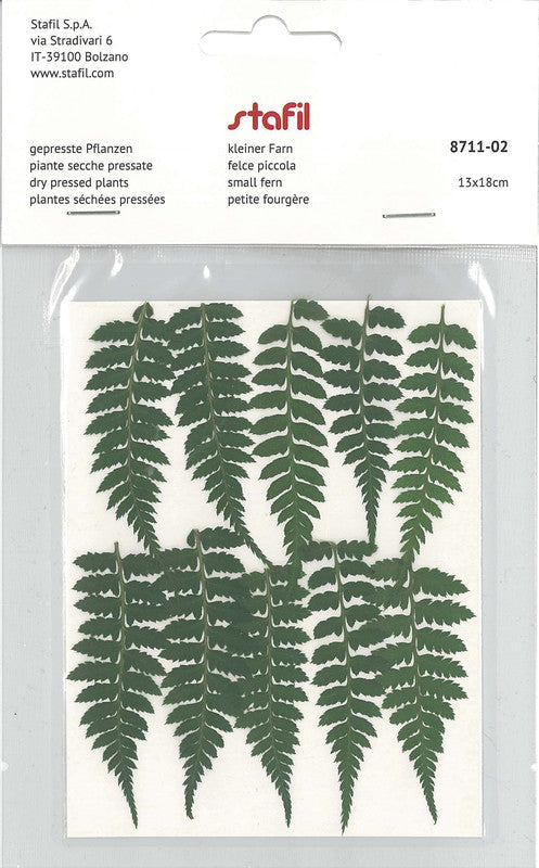 Stafil Gepresste Trockenpflanzen – Grün – 130 × 180 mm