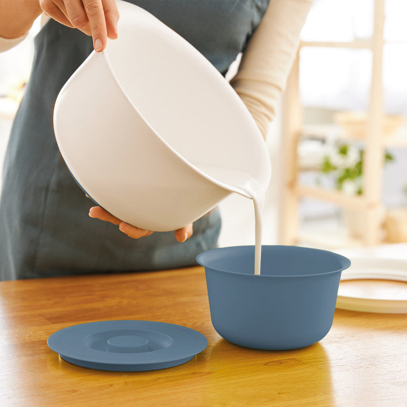 Rotho Rührschüssel Fresh – 4,0 l – mit Deckel & Henkel, spülmaschinenfest, BPA-frei – Kunststoff – Blau