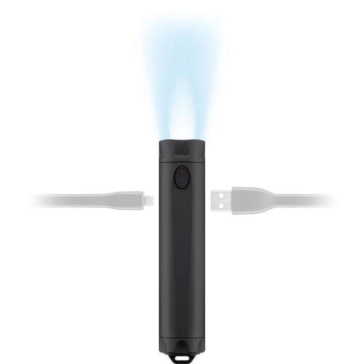 Goobay Powerbank 2600 mAh, 1× USB-A, mit Taschenlampe, für Smartphones, Tablets, schwarz