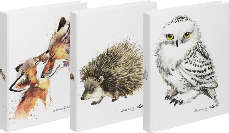 Pagna Zeigebuch – A4 Hochformat – 2-Ring, Ø 25 mm, Rücken 35 mm – Mehrfarbig, Karton, Recyclingfähig
