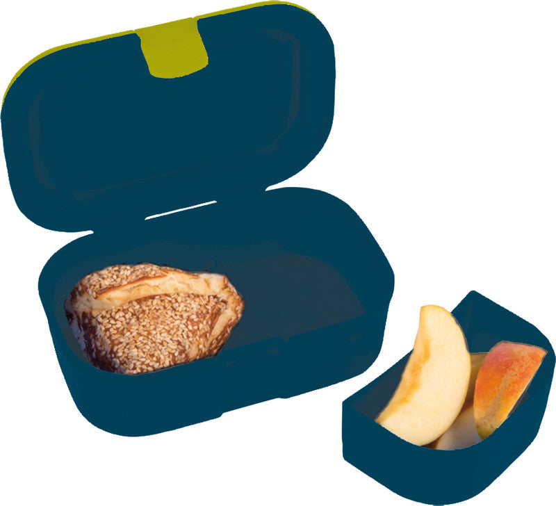 Tapirella Lunchbox – 1,2 l, Kunststoff, mehrfarbig, T-Rex-Motiv, spülmaschinenfest