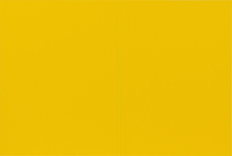 Biella Sammelmappe für A4, Karton, gelb