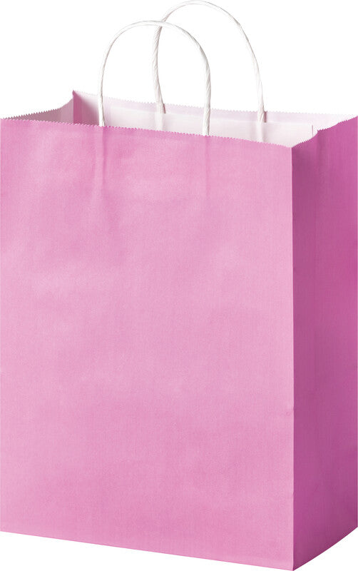 Folia Tragetasche – 20 Stk. – Papier – 240 × 310 × 120 mm – sortiert