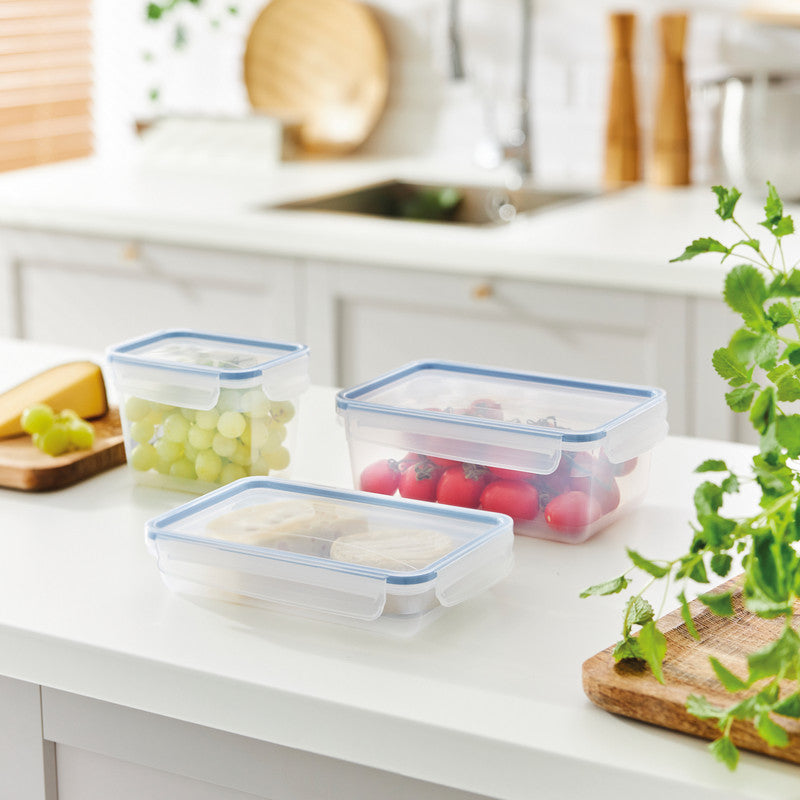 Rotho Kühlschrankdose Clic & Lock – 3 l – rechteckig – 23,9 × 13,6 × 16 cm – Kunststoff – transparent