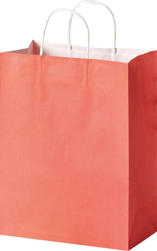 Folia Tragetasche – 20 Stk. – Papier – 240 × 310 × 120 mm – sortiert