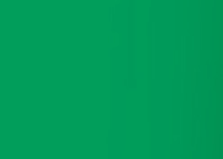Caran d-Ache Caran d'Ache – Acrylfarbe – Grasgrün, 250 ml