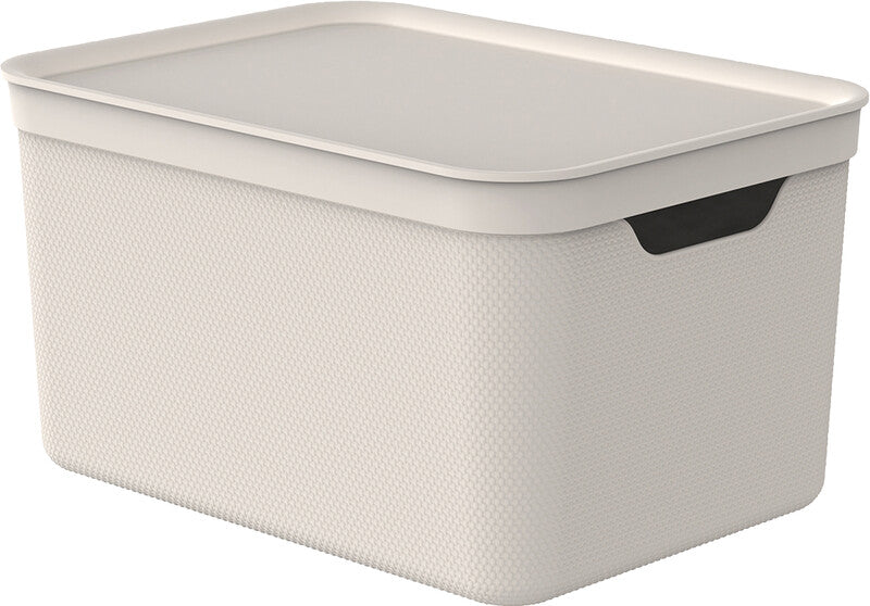 Rotho Alvra Aufbewahrungsbox 16 l (mit Deckel) – Kunststoff – Beige – für A4 – stapelbar – 265 × 203 × 365 mm