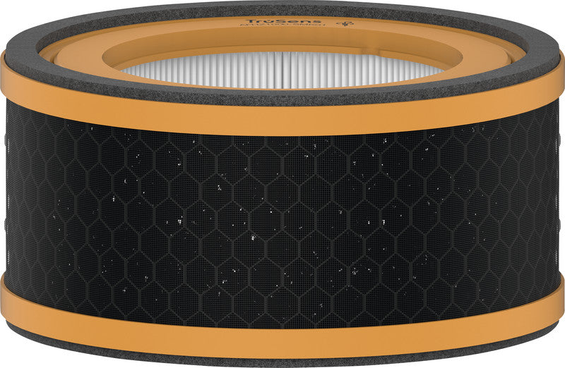 Leitz 3-in-1 Kombifilter – für TruSens Z-1000, Gerüche & VOCs, Schwarz