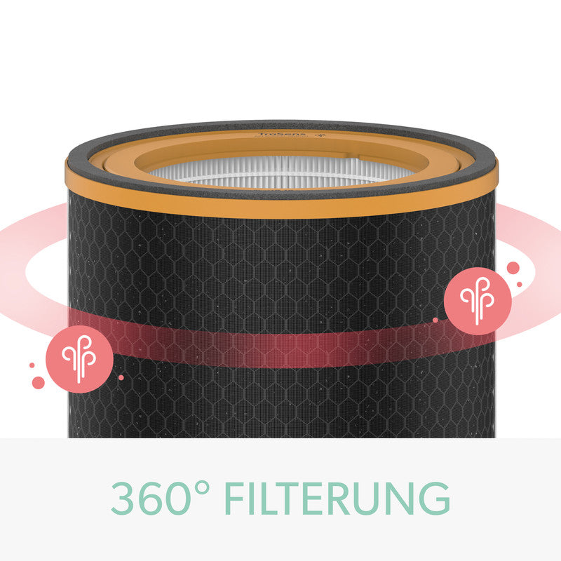 Leitz 3-in-1 Kombifilter – für TruSens Z-3000, Gerüche & VOCs, Schwarz