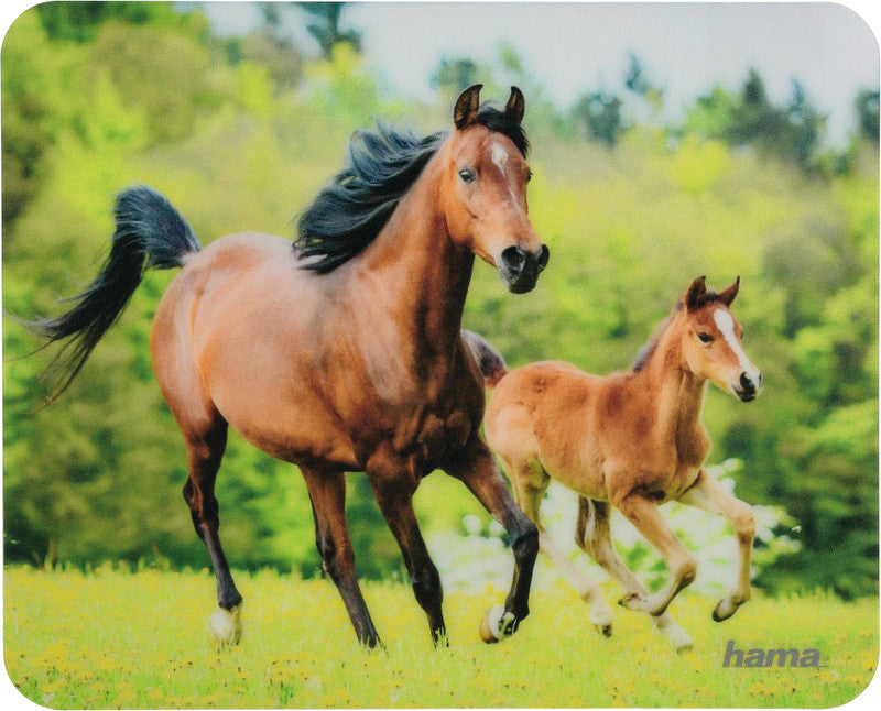 Hama Mausmatte Tiere – 220 × 180 × 1 mm, Mehrfarbig
