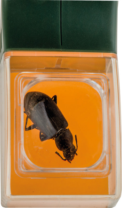 Carson BugView – Becherlupe – 5× – Ø 46 mm, farbig sortiert