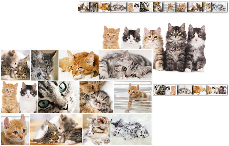 HERMA Schreibunterlage Animals – Katze – 550 × 350 mm – Kunststoff, rutschfest