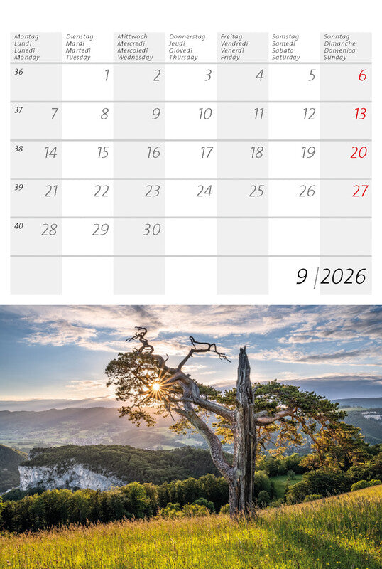 Calendaria Postkartenkalender 2026 – 14,8 × 22 cm – mit 12 Postkarten, mit Aufhänger